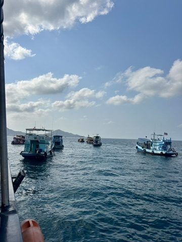 Dive boats in open water