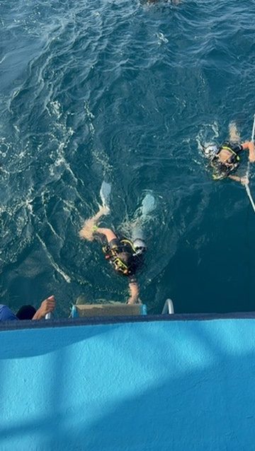Divers entering water from boat