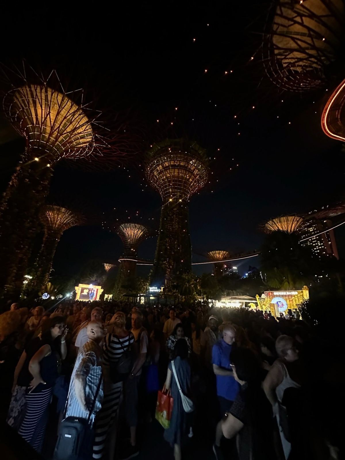 Crowd watching the Supertree light show, necks craned upward