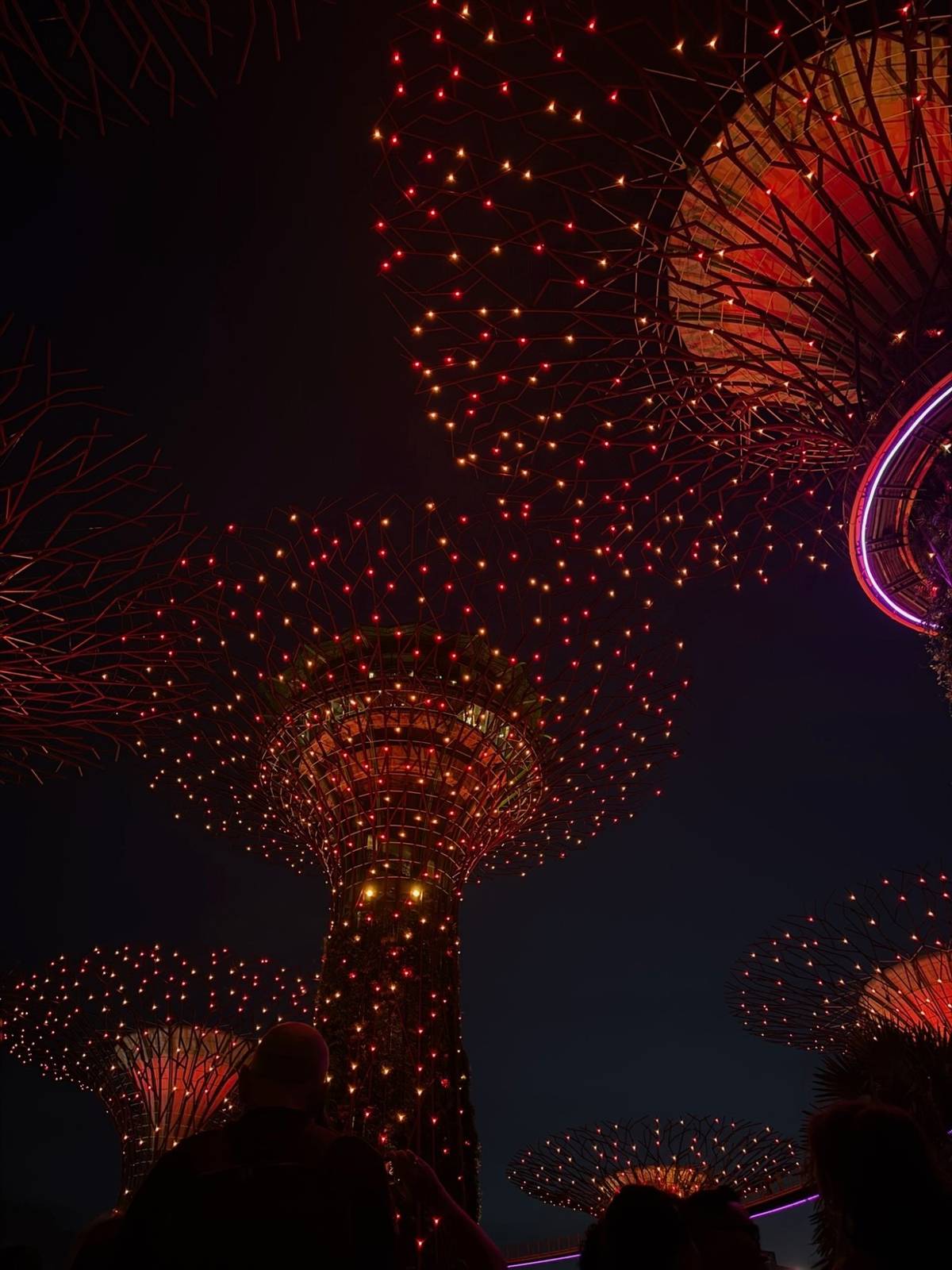 Supertrees glowing deep red against a dark night sky