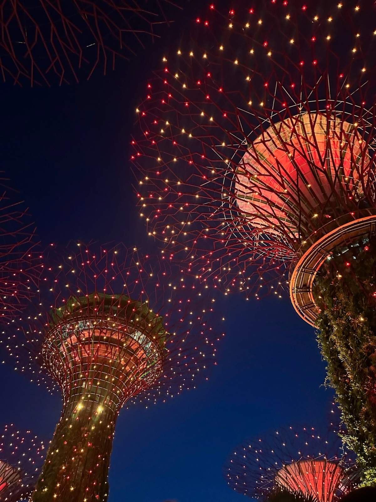 Looking up at the Supertrees lit in red during the light show