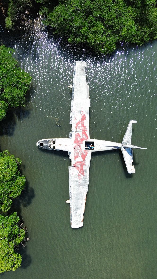 Aerial drone shot of the 1971 crashed plane half-submerged in a mangrove lagoon near Coron — kayak visible inside the fuselage