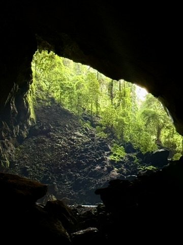 Looking out from inside a massive Mulu cave mouth — lush green jungle framed by dark rock