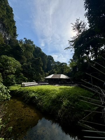 Jungle river with a wooden pavilion and towering limestone karst cliffs behind, Mulu National Park