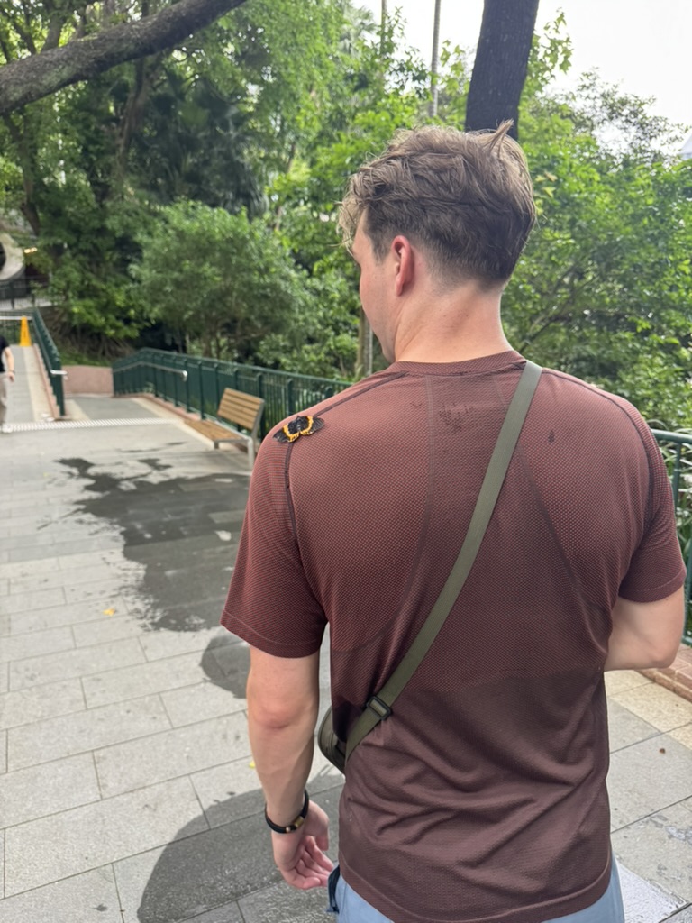 A butterfly on my shoulder