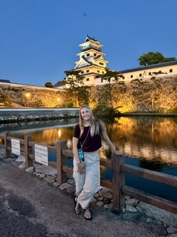 Matsuyama Castle at night