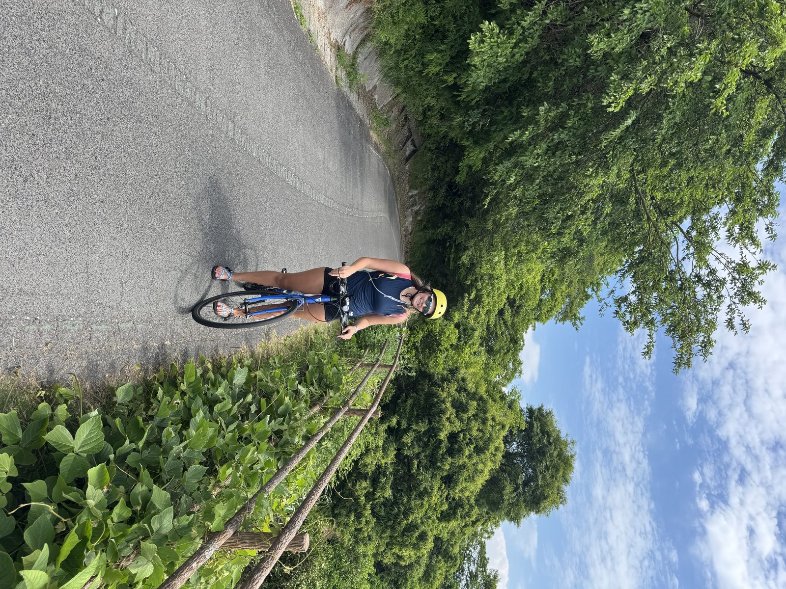 Riding the forest road