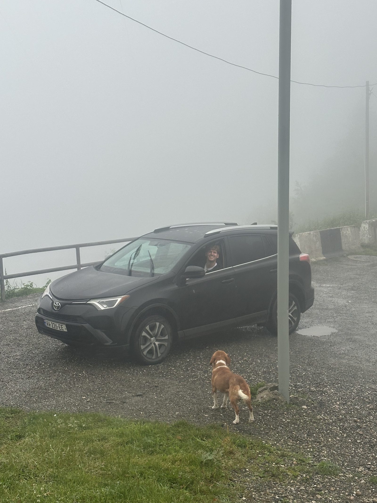 The rented RAV4 in the fog with a dog nearby