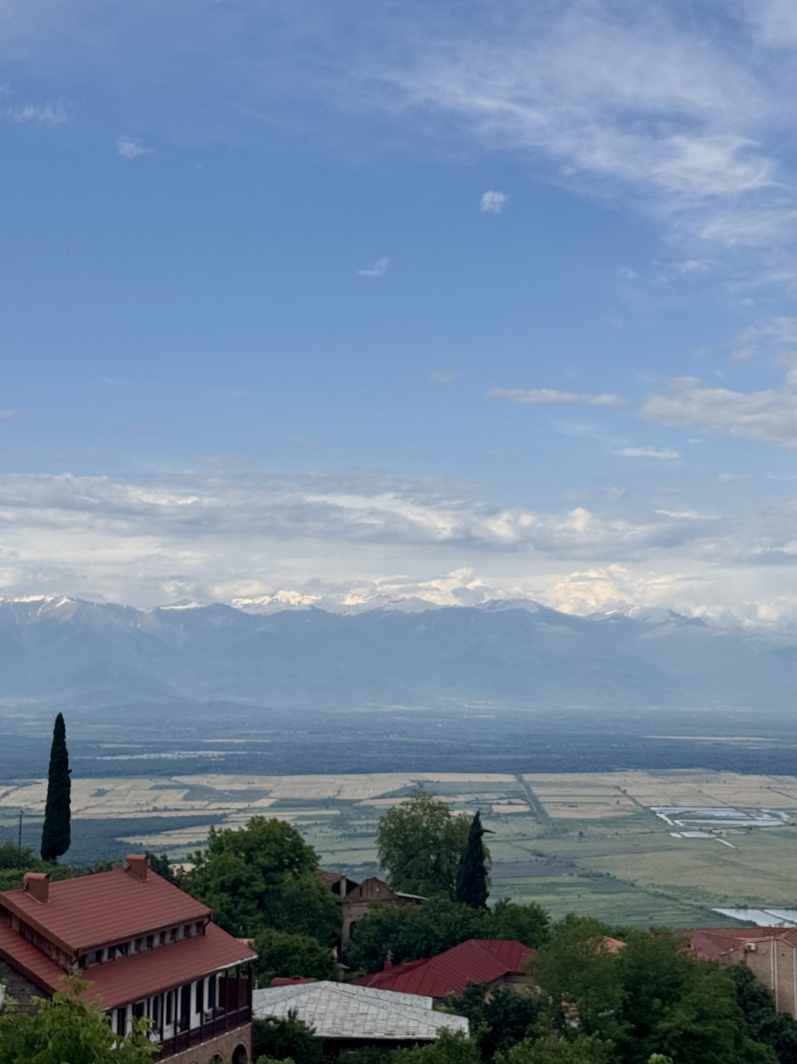 Snow-topped Caucasus mountains beyond the vineyards