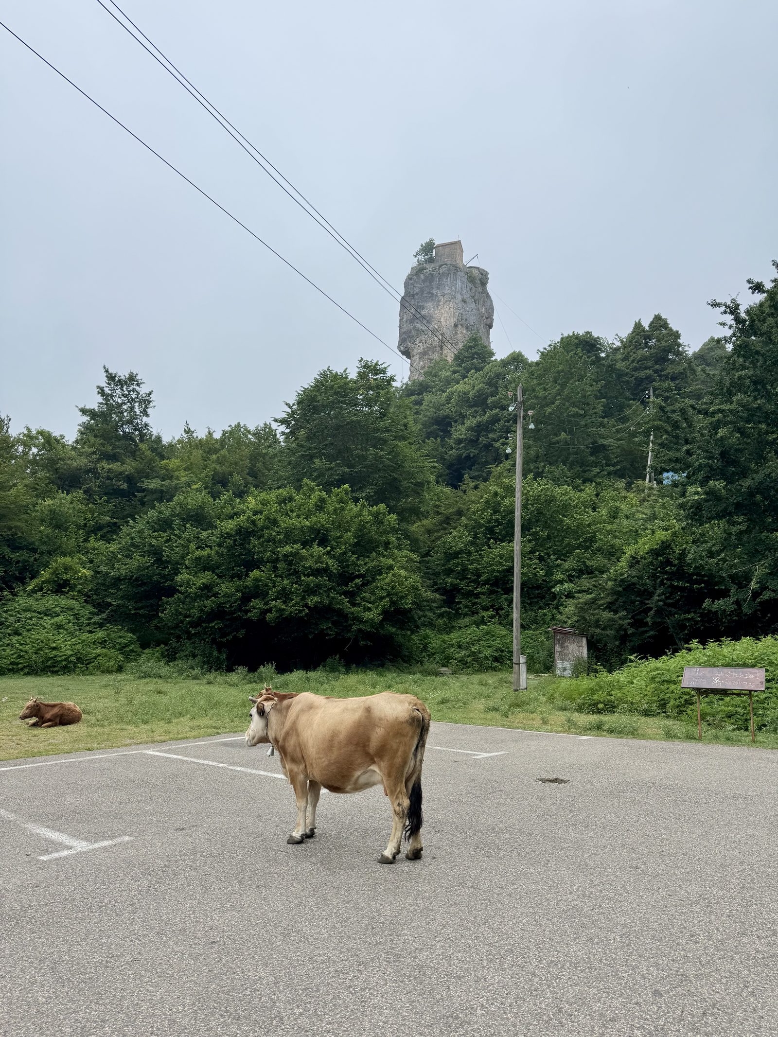 The Katskhi Pillar with a cow in the foreground