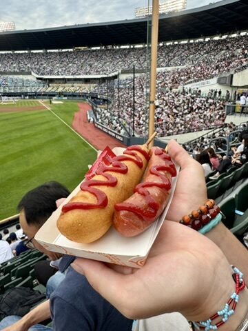 Two corn dogs held up at KBO