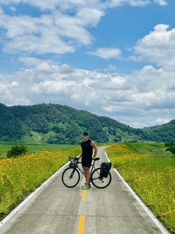 Yellow wildflower road, Korea