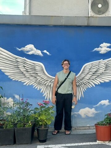 Angel wings mural, Seoul