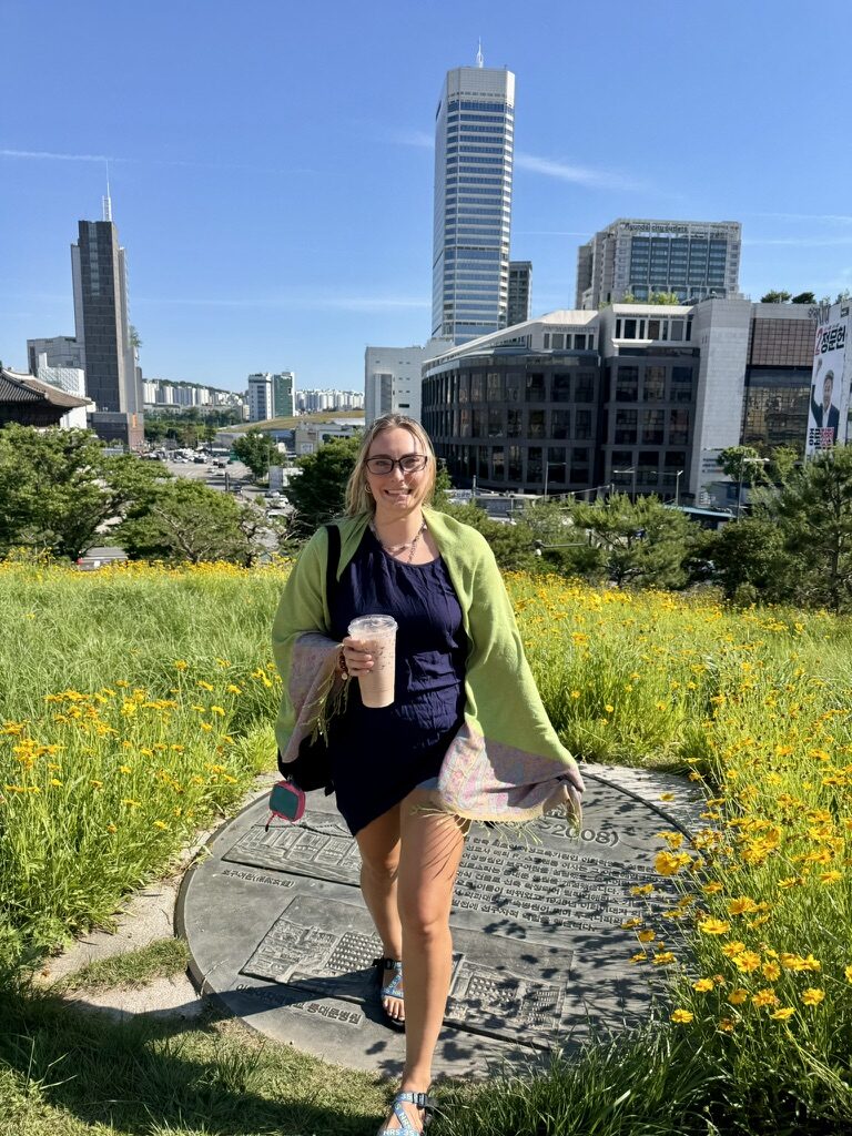 Seoul wildflowers and skyline