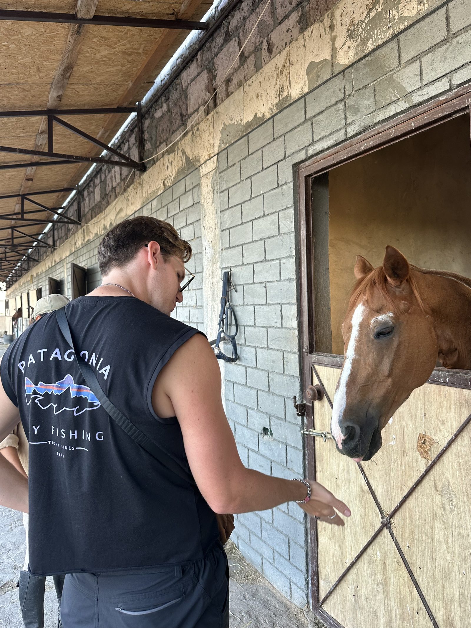 Greeting a horse at the ranch stable