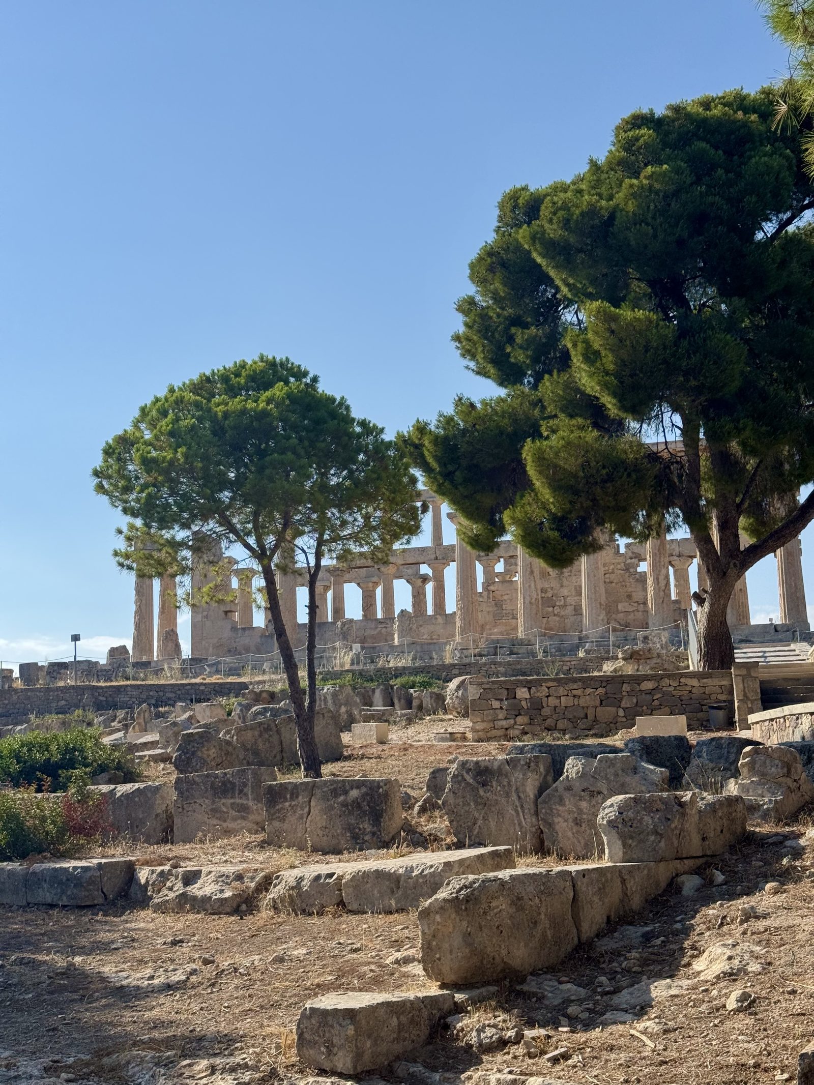 Ancient Greek ruins with trees and rocks