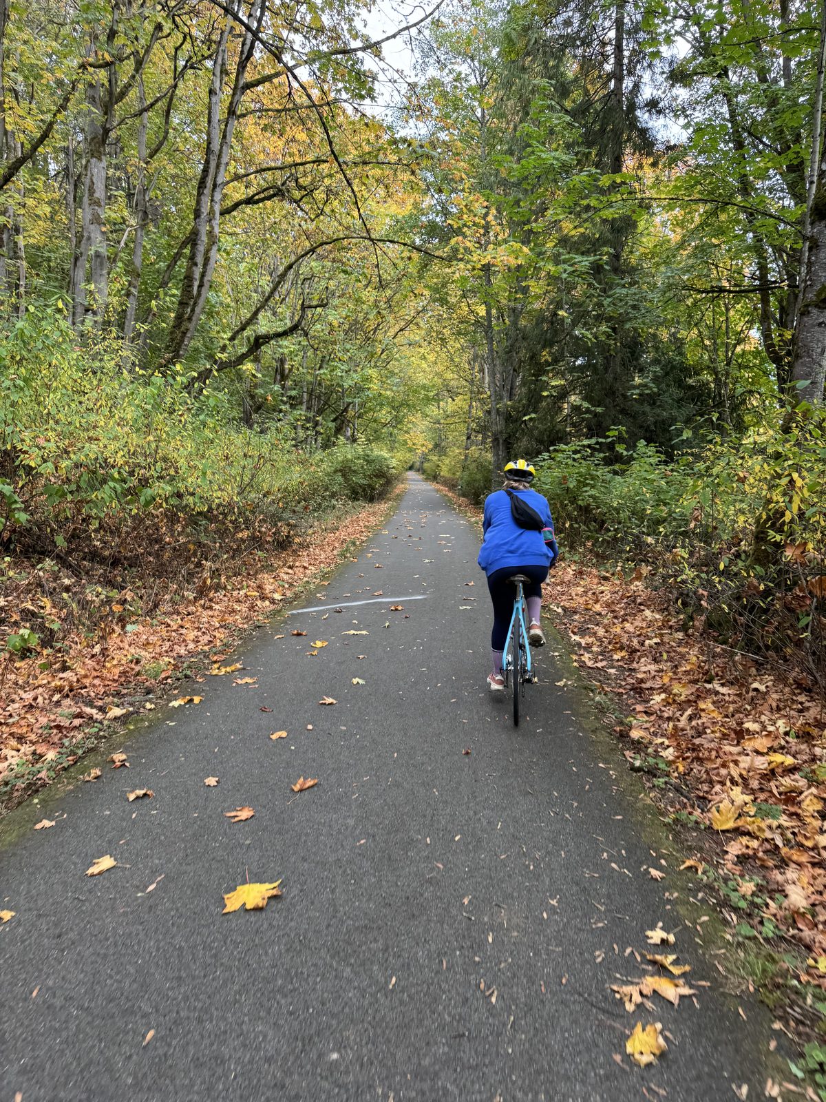 Biking through autumn trail