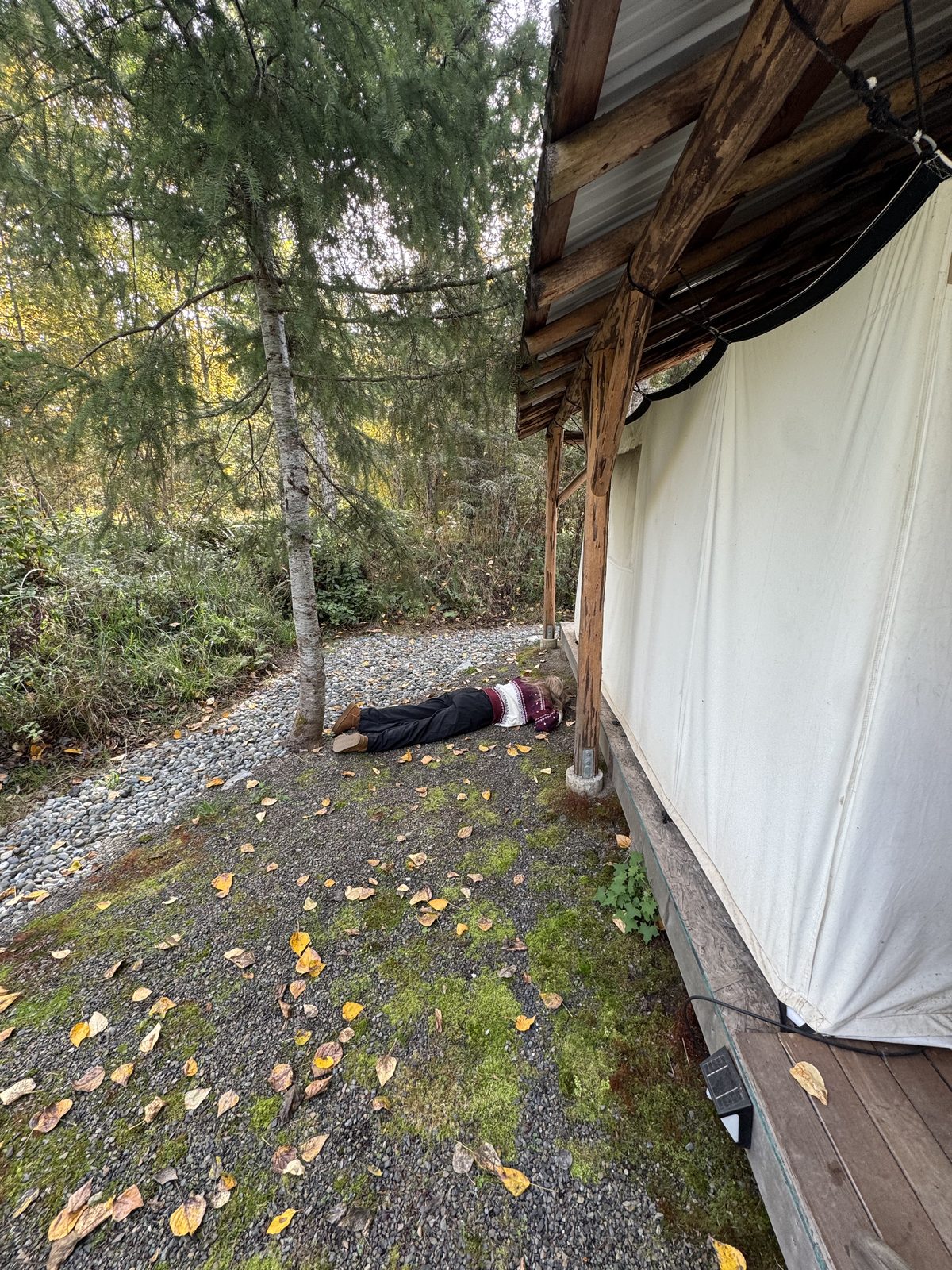 Glamping tent in Port Angeles
